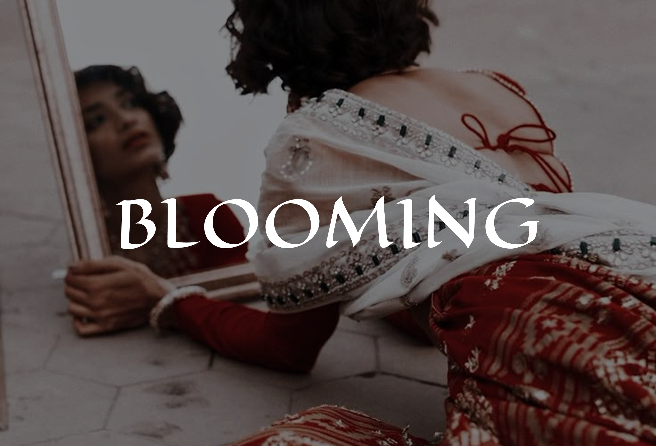 Camellia Blooming